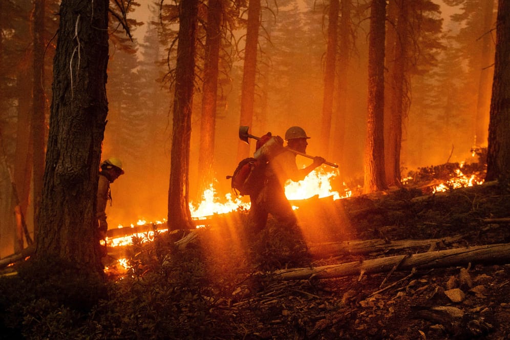USA, Plumas National Forest: Im Westen der USA wüten Dutzende Waldbrände. Viele Menschen sind gestorben.