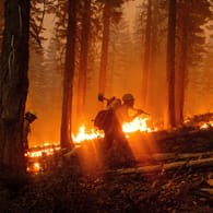 USA, Plumas National Forest: Im Westen der USA wüten Dutzende Waldbrände. Viele Menschen sind gestorben.