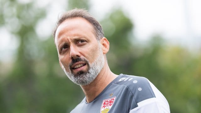 Will keinen festen Vertreter für Kapitän Gonzalo Castro bestimmen: VfB-Trainer Pellegrino Matarazzo. Will keinen festen Vertreter für Kapitän Gonzalo Castro bestimmen: VfB-Trainer Pellegrino Matarazzo.