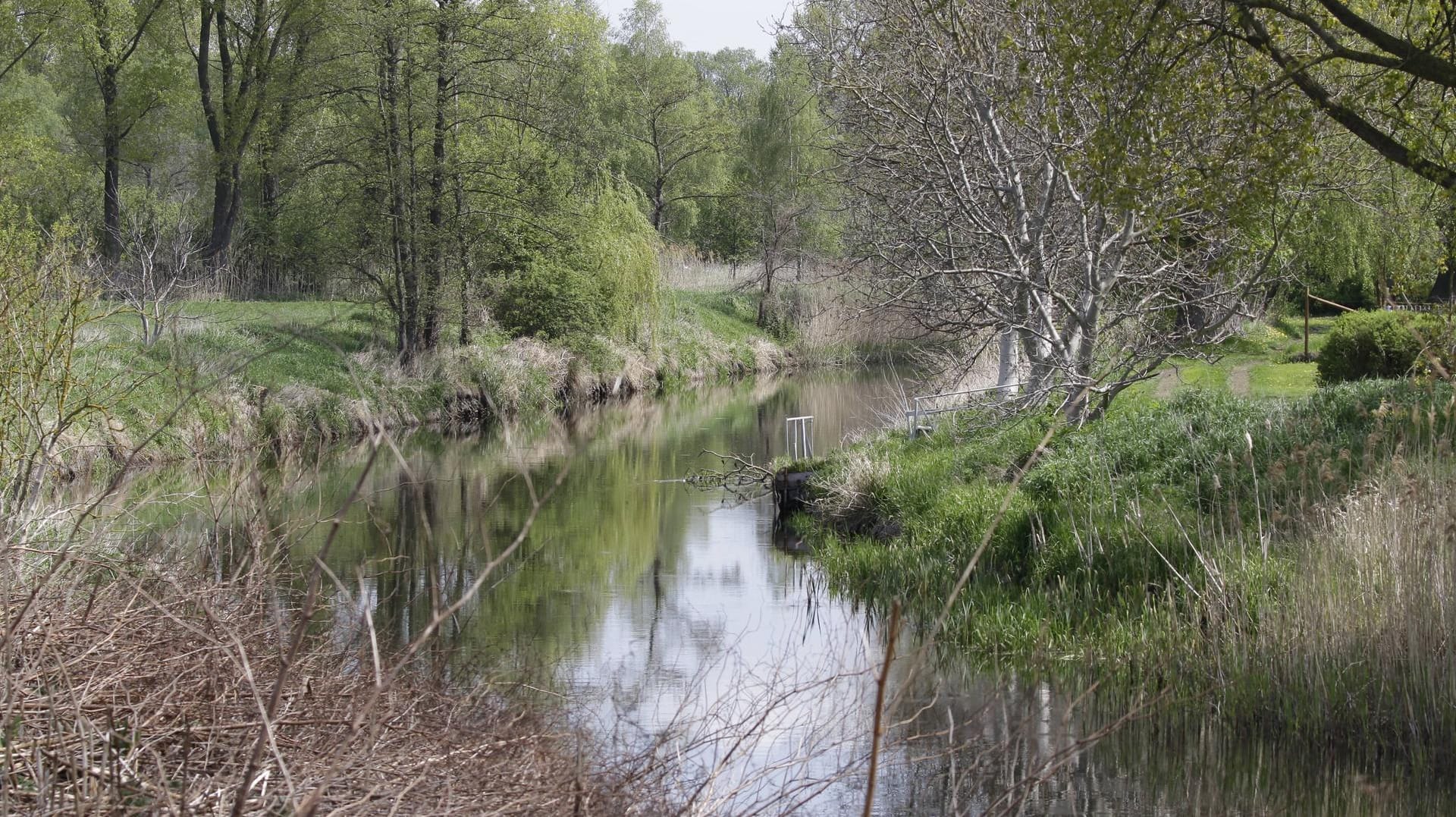 Rhinkanal bei Fehrbellin: in der Nähe haben Spaziergänger einen Tresor gefunden. Rhinkanal bei Fehrbellin: in der Nähe haben Spaziergänger einen Tresor gefunden.