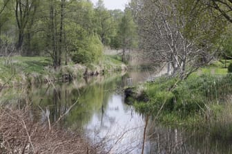 Rhinkanal bei Fehrbellin: in der Nähe haben Spaziergänger einen Tresor gefunden.