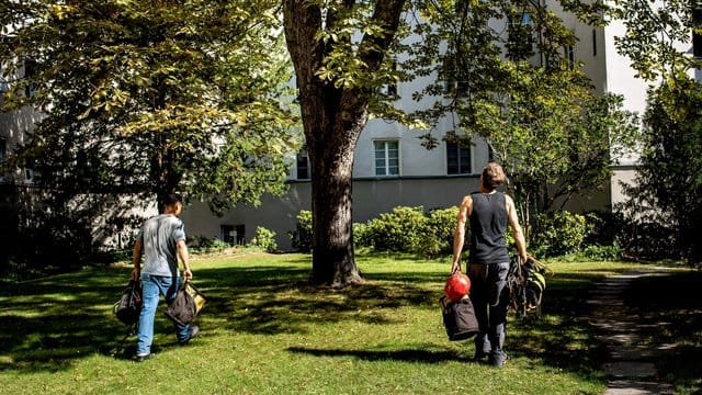 Baumpfleger wissen, wie wichtig schonende Pflege ist.