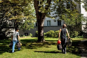 Baumpfleger wissen, wie wichtig schonende Pflege ist.