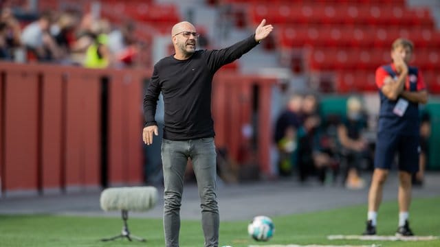 Muss versuchen die Abgänge zu kompensieren: Leverkusens Trainer Peter Bosz.