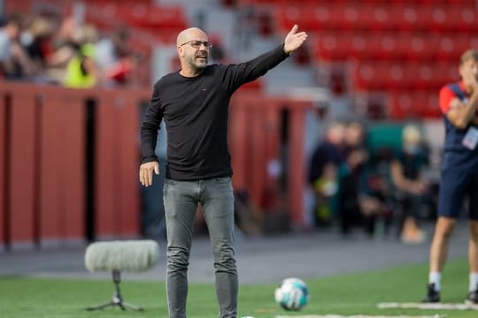 Muss versuchen die Abgänge zu kompensieren: Leverkusens Trainer Peter Bosz.