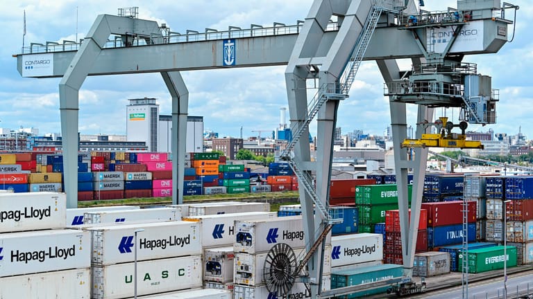 Ein Kran verlädt Container im Binnenhafen von Mannheim (Archivbild): Laut Ifo-Institut schrumpft die deutsche Wirtschaft 2020 geringer als in der Finanzkrise.