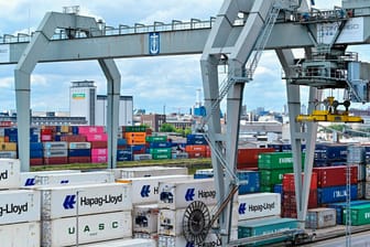 Ein Kran verlädt Container im Binnenhafen von Mannheim (Archivbild): Laut Ifo-Institut schrumpft die deutsche Wirtschaft 2020 geringer als in der Finanzkrise.