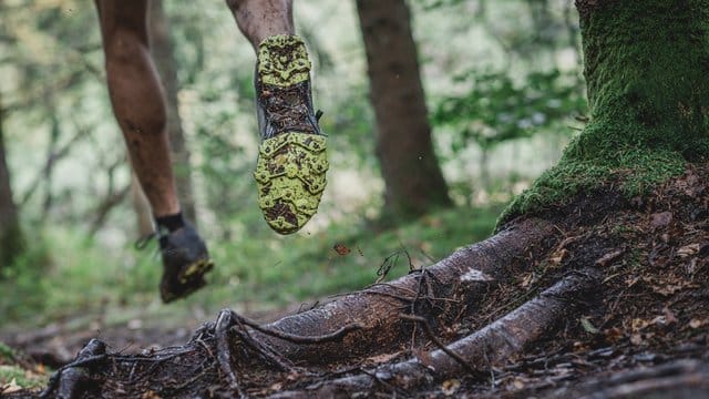 Beim Laufen über von Wurzeln gesäumten Wegen wird das Hirn mehr gefordert als auf ebenen Untergründen. Beim Laufen über von Wurzeln gesäumten Wegen wird das Hirn mehr gefordert als auf ebenen Untergründen.