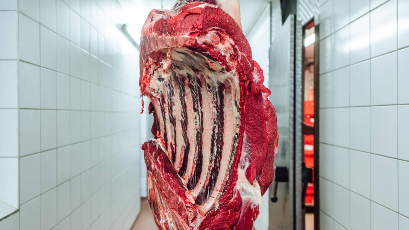 Blick in eine Fleischfabrik (Symbolfoto): Ermittler sind auf der Suche nach Beweisen für illegale Leiharbeiter in der Fleischindustrie.