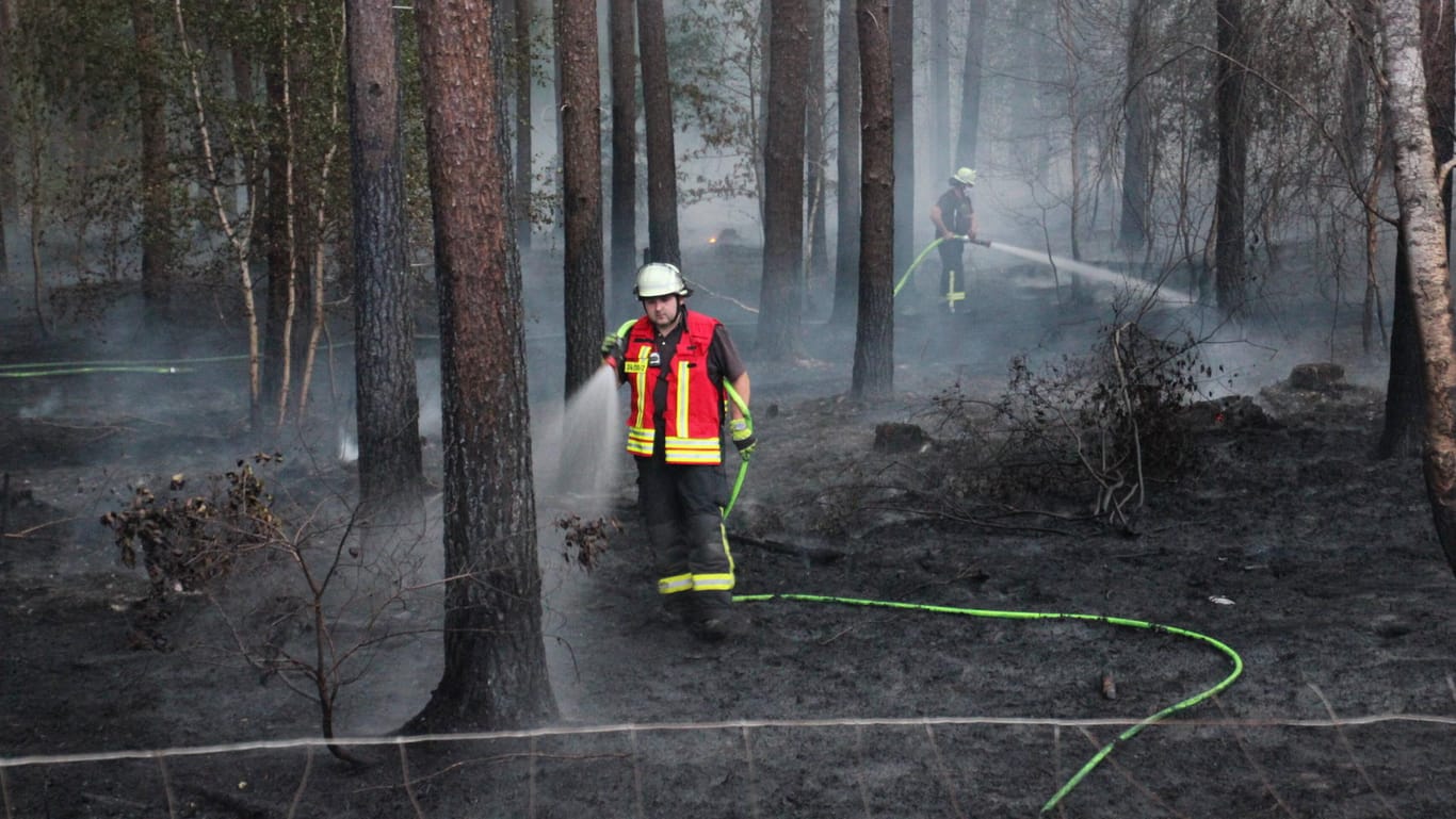 Einsatzkräfte der Feuerwehr löschen Feuer in einem Wald: Mit den steigenden Temperaturen kommen auch immer mehr Dürren auf Deutschland zu. (Archivbild)