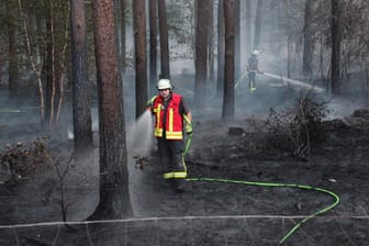 Einsatzkräfte der Feuerwehr löschen Feuer in einem Wald: Mit den steigenden Temperaturen kommen auch immer mehr Dürren auf Deutschland zu. (Archivbild)