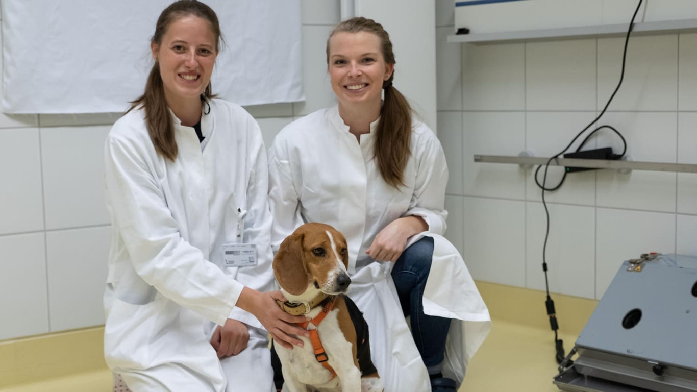 Hunde gegen Corona: Die beiden Forscherinnen Katharina von Tholen (l) und Paula Jendrny posieren zusammen mit Beagle Hündin Djaka während einer Pressekonferenz in der Tierärztliche Hochschule Hannover.