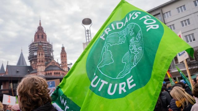 Flagge mit dem Aufdruck "Fridays For Future" (Archivbild): Die Aktivisten wollen wieder demonstrieren. Flagge mit dem Aufdruck "Fridays For Future" (Archivbild): Die Aktivisten wollen wieder demonstrieren.
