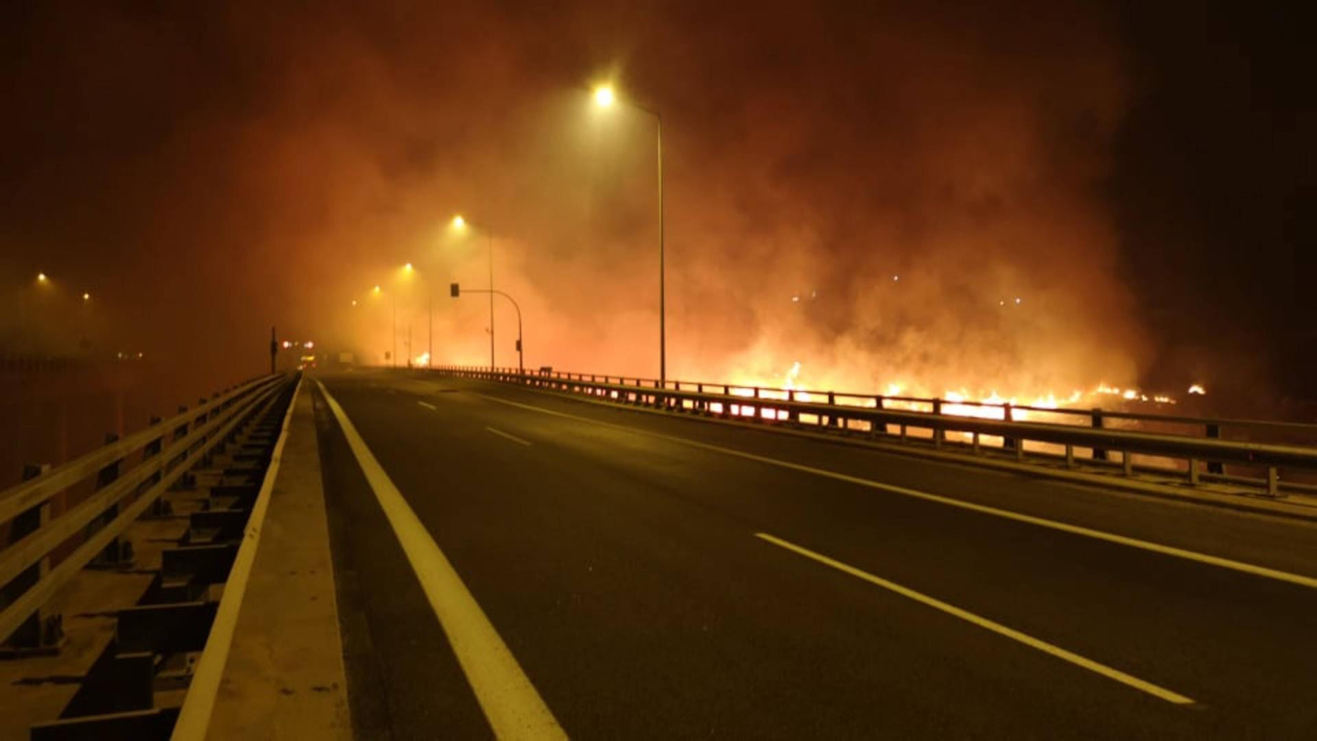 Waldbrand auf dem griechischen Peloponnes.