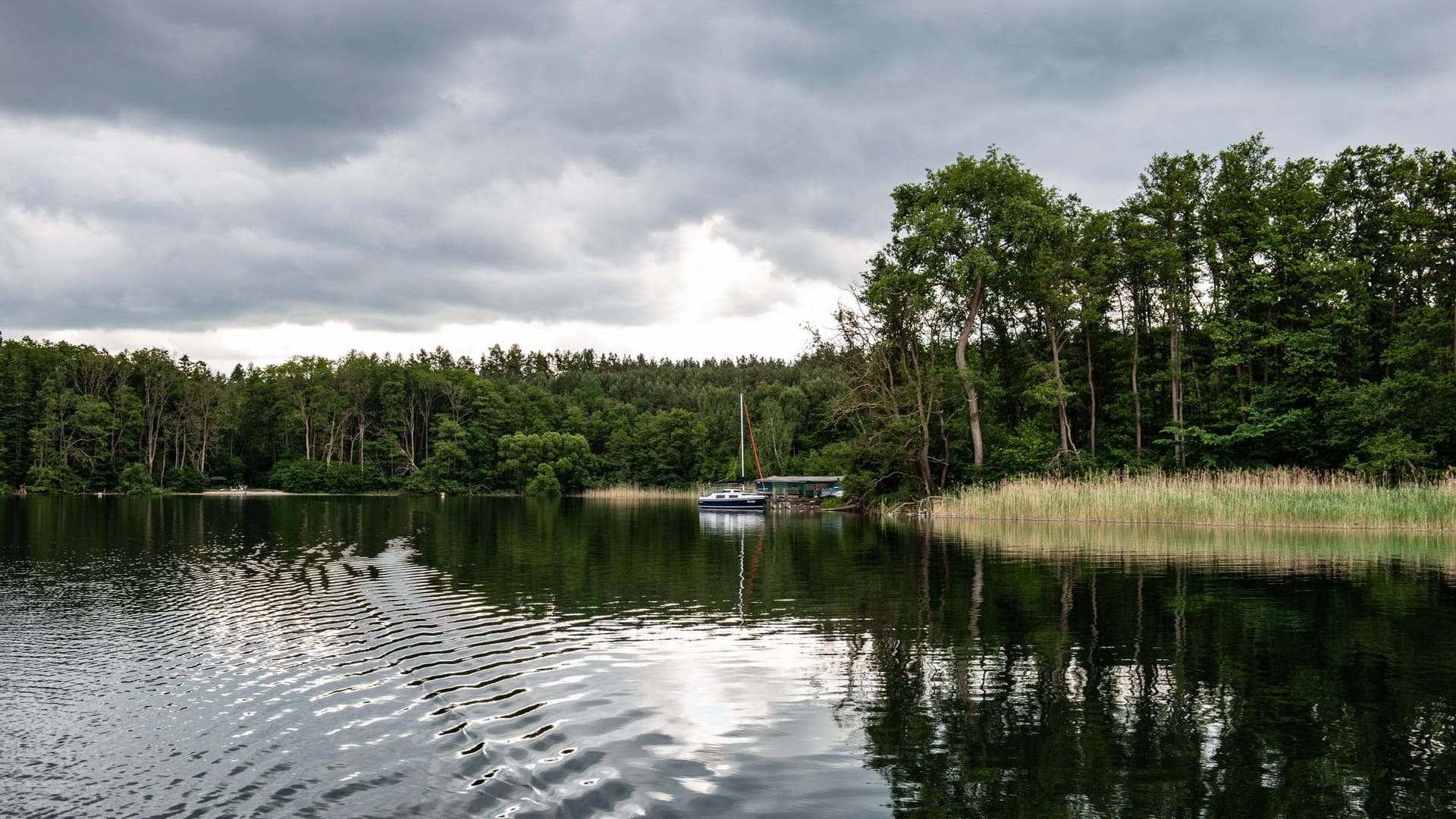 Plauer See: Ein Therapiehund ist abgerutscht und hat sein Frauchen mit ins Wasser gezogen. Plauer See: Ein Therapiehund ist abgerutscht und hat sein Frauchen mit ins Wasser gezogen.