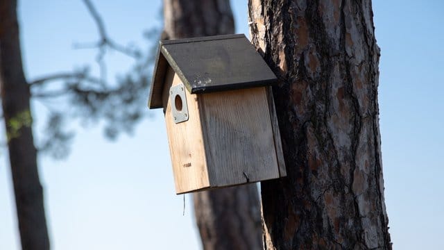 Ende September kann man im Garten die Nistkästen reinigen - dann fühlen sich im Frühjahr hier auch Vögel wieder wohl.