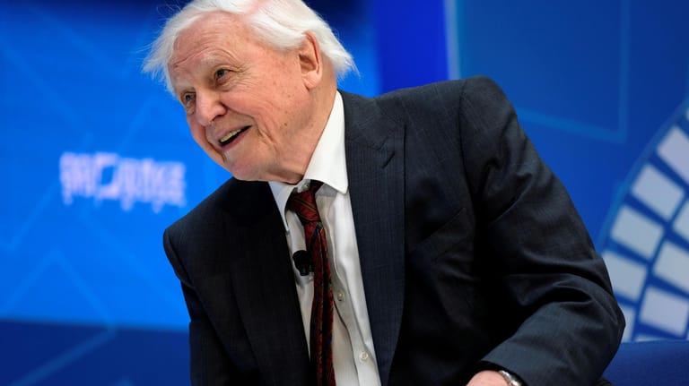 Sir David Attenborough: Der 94-Jährige ist unter die Instagram-Influencer gegangen.