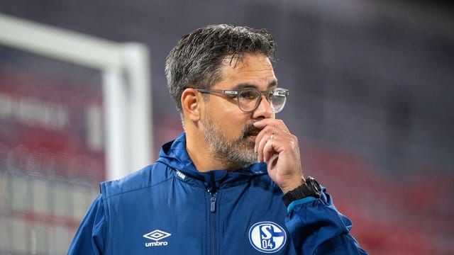 Beim FC Schalke gibt es einen neuen Corona-Fall. Beim FC Schalke gibt es einen neuen Corona-Fall.
