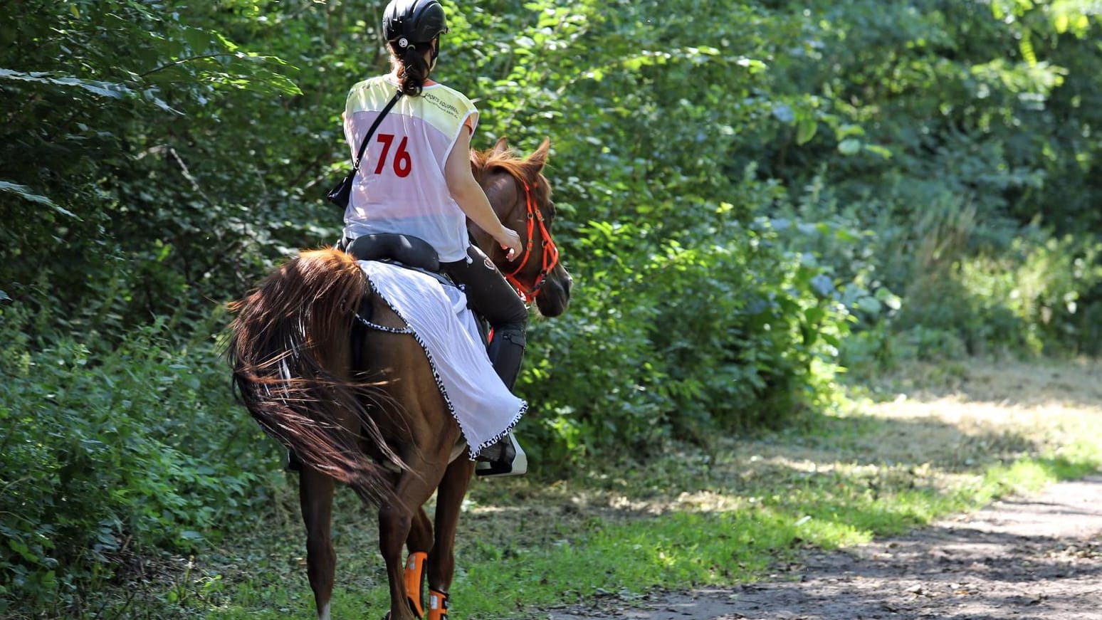 Reiterin im Wald: In ähnlicher Situation wurde eine 16-Jährige in Schleswig-Holstein von einem Mann sexuell belästigt. (Symbolfoto)