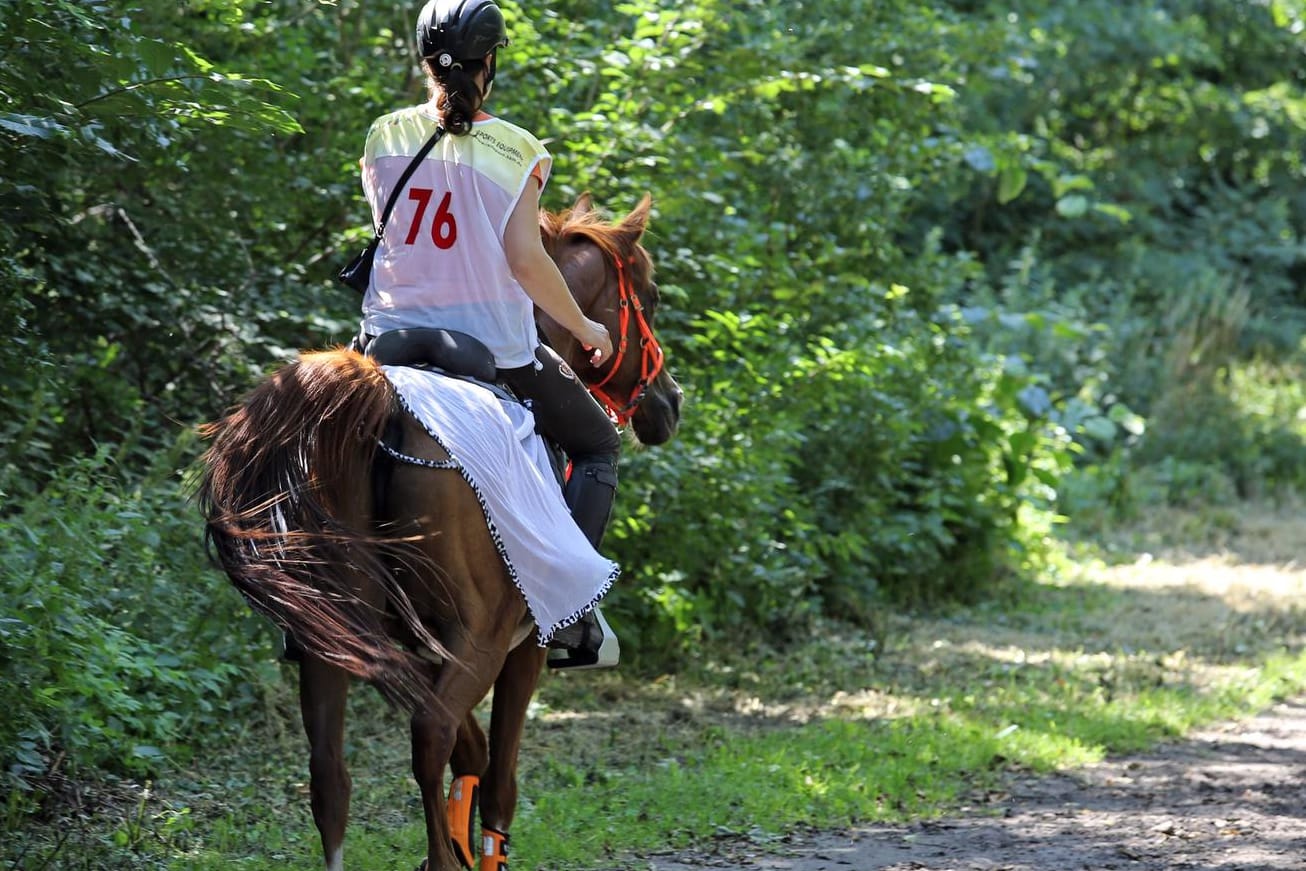 Reiterin im Wald: In ähnlicher Situation wurde eine 16-Jährige in Schleswig-Holstein von einem Mann sexuell belästigt. (Symbolfoto)