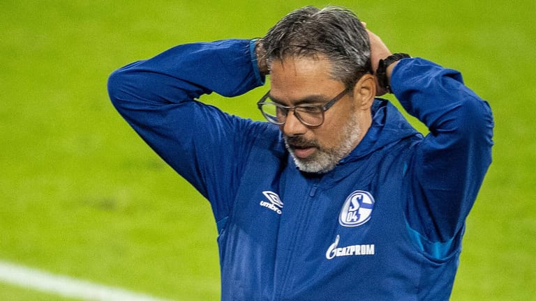 David Wagner: Der 48-Jährige hat keine Zukunft bei den Knappen.