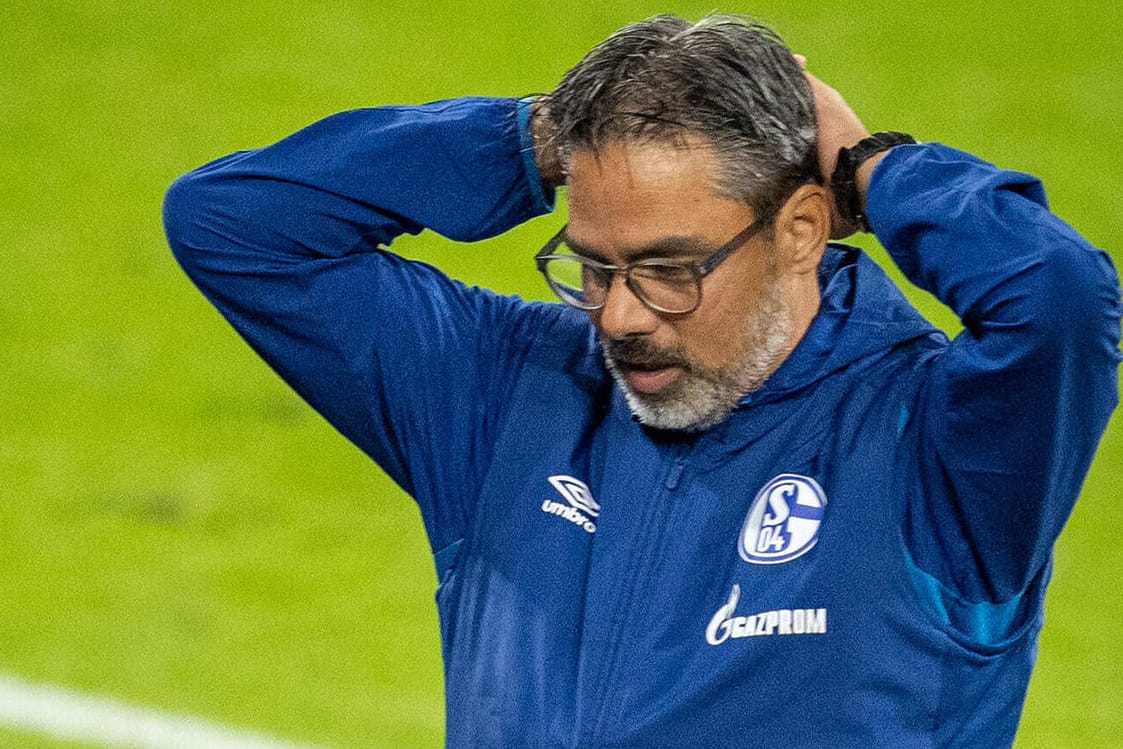 David Wagner: Der 48-Jährige hat keine Zukunft bei den Knappen.
