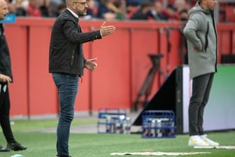Leverkusens Trainer Peter Bosz (l) und sein Leipziger Kollege Trainer Julian Nagelsmann beobachten das Spiel.