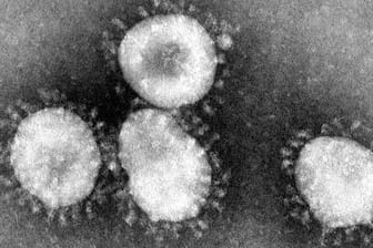 Coronavirus