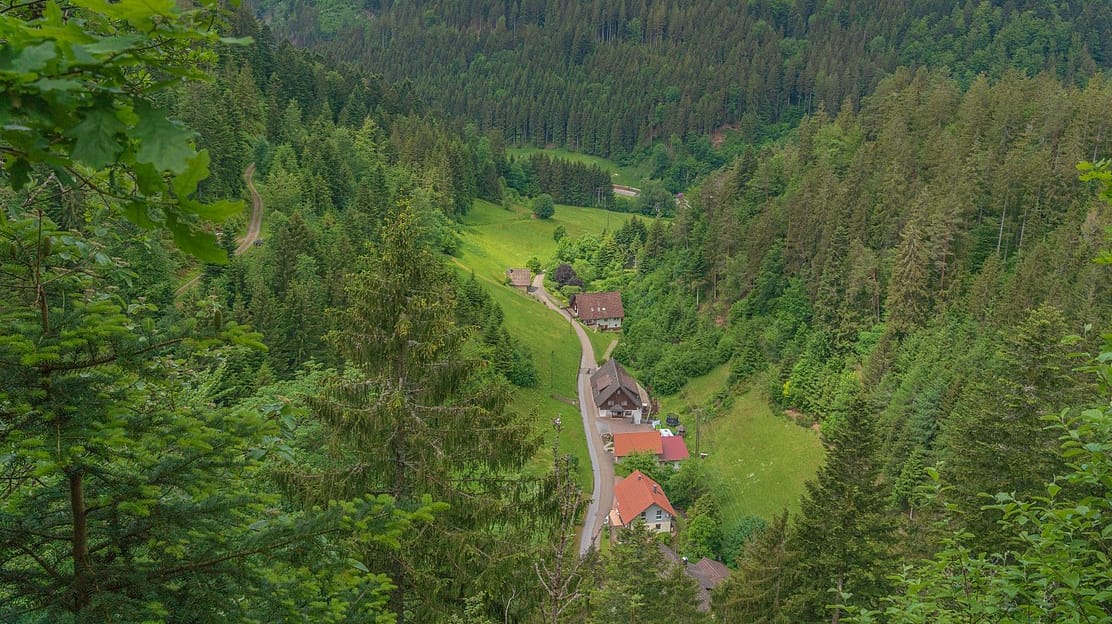 Bad Rippoldsau-Schapbach im Schwarzwald (Archivbild): Hier kam der Senior mit seinem Wagen von der Straße ab. Bad Rippoldsau-Schapbach im Schwarzwald (Archivbild): Hier kam der Senior mit seinem Wagen von der Straße ab.
