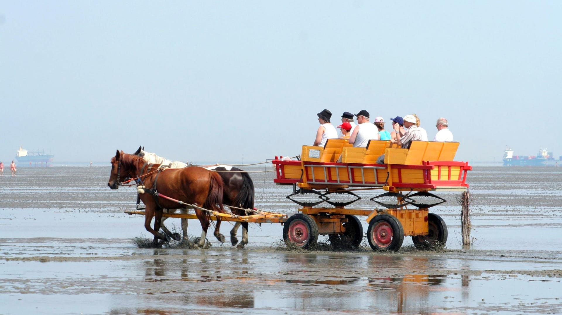 Kutsche vor Cuxhaven: Ein Pferd ertrank bei dem Unfall im Priel (Symbolbild).