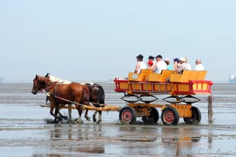 Kutsche vor Cuxhaven: Ein Pferd ertrank bei dem Unfall im Priel (Symbolbild).