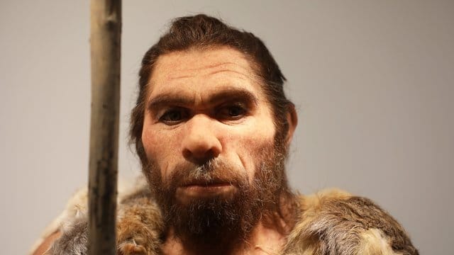 Neandertaler-Nachbildung im LVR-Landesmuseum