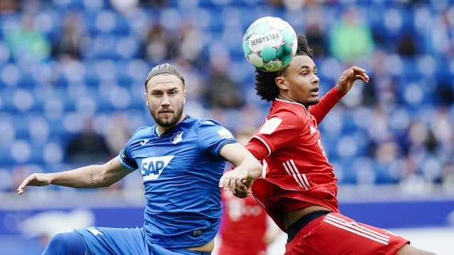 Ermin Bicakcic (l) verletzte sich gegen die Bayern.