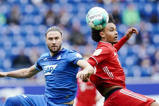 Ermin Bicakcic (l) verletzte sich gegen die Bayern.