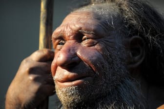 Wer Neandertaler-Gene in sich trägt, hat eine höhere Wahrscheinlichkeit für einen schweren Verlauf einer Covid-19-Erkrankung.
