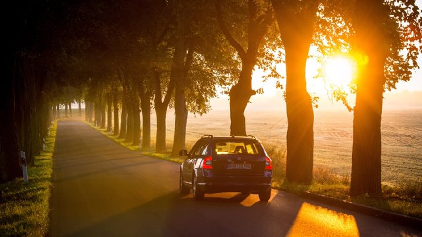 Wenn die Sonne im Herbst tiefer steht, steigt für Autofahrer die Blendgefahr.
