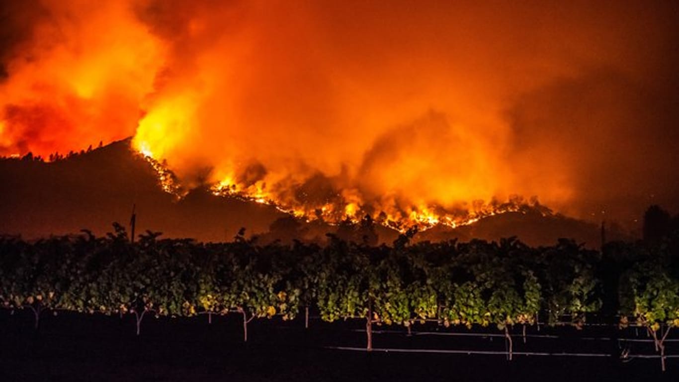 Von den bewaldeten Hügeln in der Nähe von Calistoga nahe von Weinreben schlagen Flammen des "Glass"-Feuers empor.