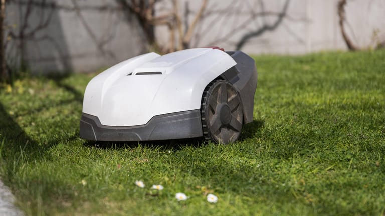 Automatischer Rasenmäher: Ein Mähroboter verspricht eine perfekten, grünen Rasen. Der Hobbygärtner kann sich derweil entspannen.
