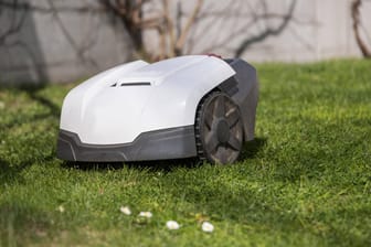 Automatischer Rasenmäher: Ein Mähroboter verspricht eine perfekten, grünen Rasen. Der Hobbygärtner kann sich derweil entspannen.