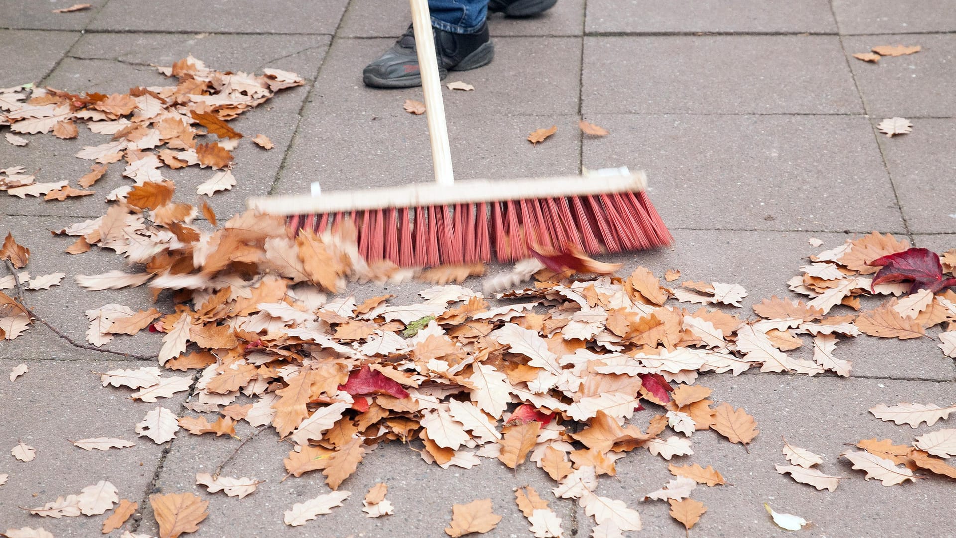 Rutschgefahr: Herbstlaub vor der Haustür muss der Hausbesitzer entfernen oder entfernen lassen.