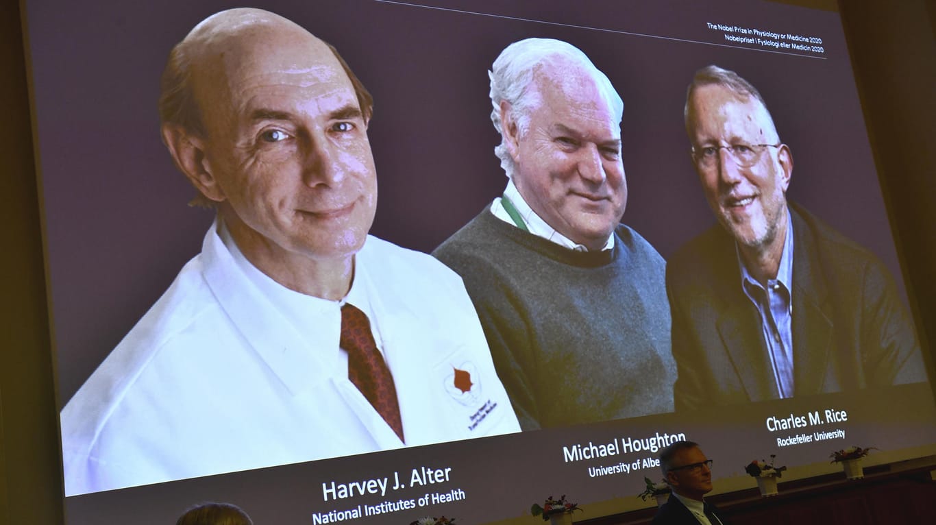 Harvey J. Alter, Michael Houghton und Charles M. Rice: Die drei Forscher haben sich im Kampf gegen Hepatitis C verdient gemacht.