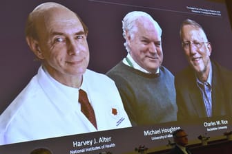 Harvey J. Alter, Michael Houghton und Charles M. Rice: Die drei Forscher haben sich im Kampf gegen Hepatitis C verdient gemacht.