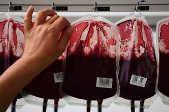 Eine Mitarbeiterin der Blutbank überprüft Beutel mit Blut in einer Blutbank.