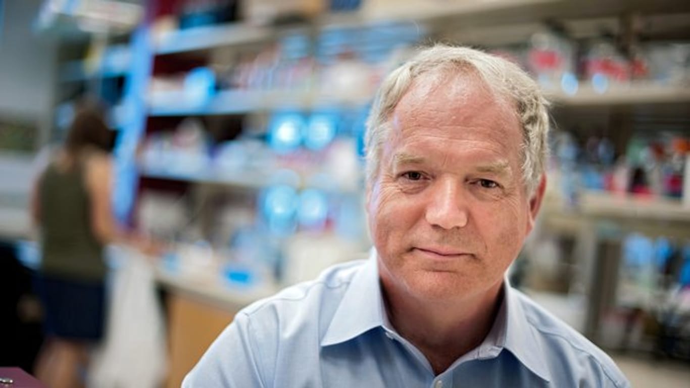 Michael Houghton in seinem Labor im Institut für Virologie an der Universität von Alberta in Edmonton.