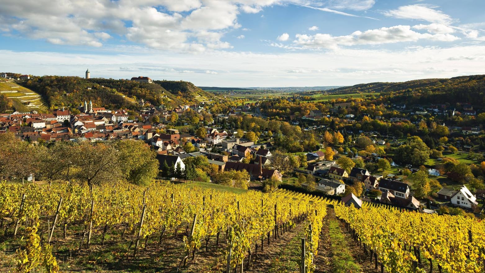 Ausblick über Weinberg auf Freyburg: Es lohnt sich durchaus, die romantischen Winkel des mittelalterlichen Freyburg zu erkunden.