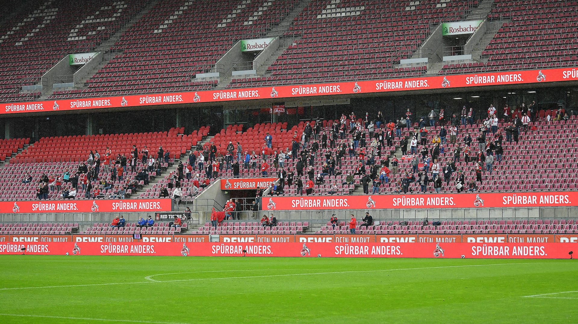 Das Rheinenergie-Stadion in Köln: das Länderspiel gegen die Türkei findet vor maximal 300 Zuschauern statt.