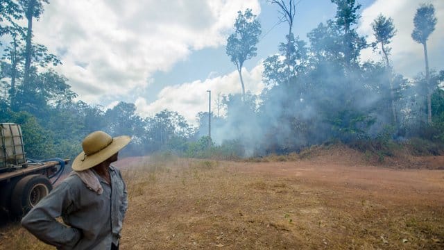 Ein brasilianischer Farmer beobachtet einen Waldbrand bei Alto Rio Guama.