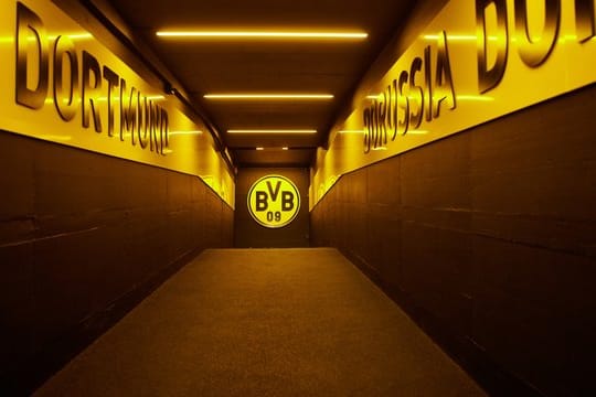 Borussia Dortmund hat den Geschäftsbericht vorgelegt.