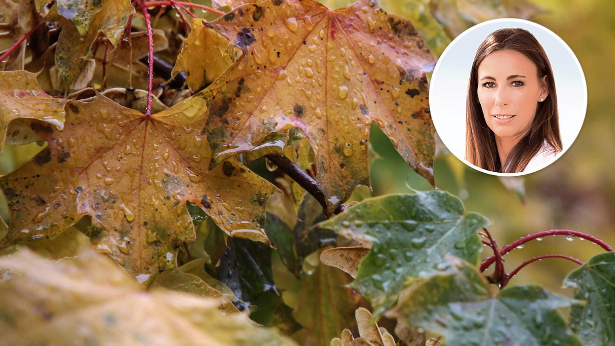 Herbstwetter in Deutschland: Expertin Michaela Koschak kommentiert die Aussichten für den Tag. Herbstwetter in Deutschland: Expertin Michaela Koschak kommentiert die Aussichten für den Tag.
