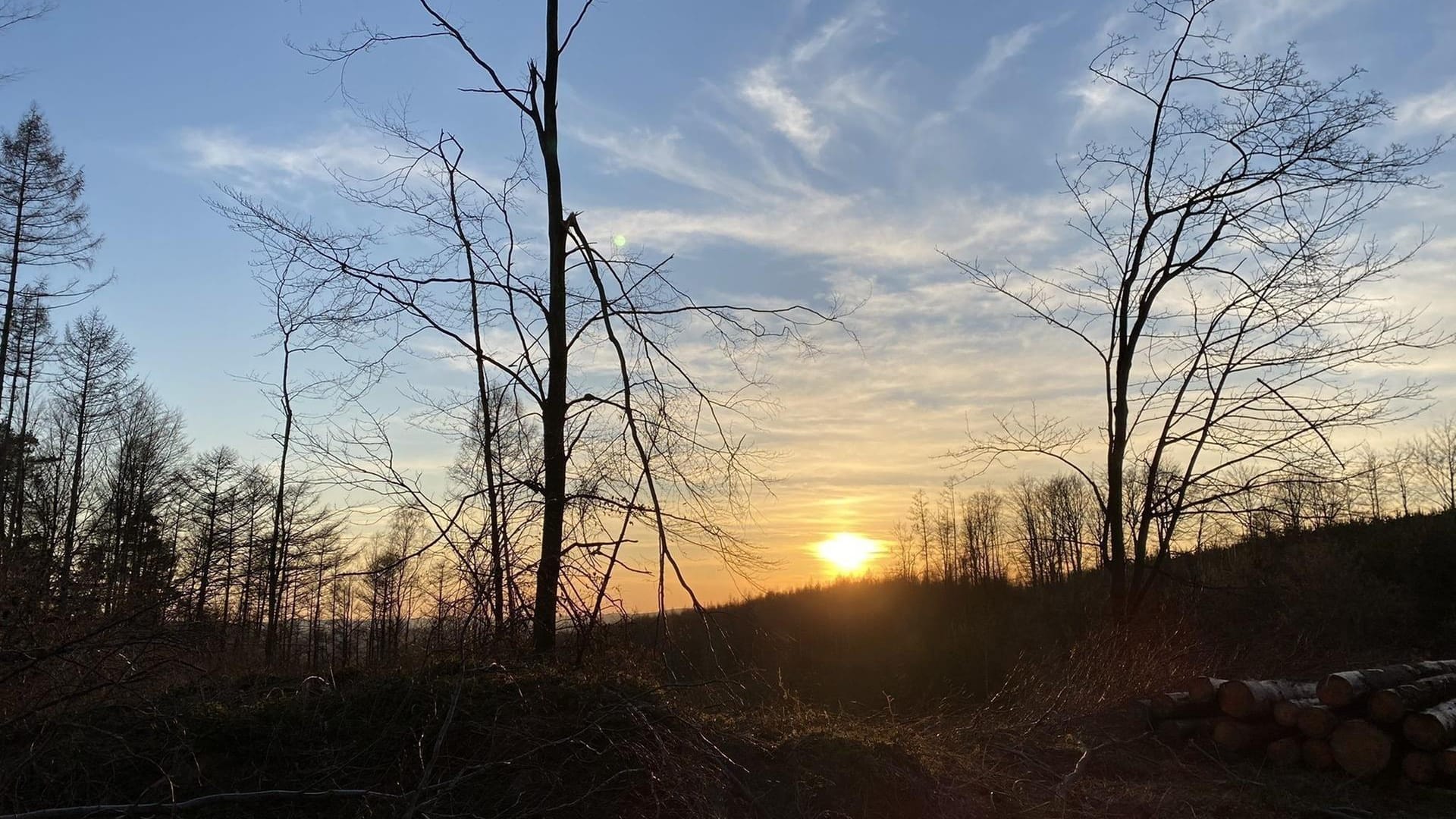 Am Elsenbach: Wanderer kommen auf dem Weg entlang des Elsenbachs in Nordrhein-Westfalen an zahlreichen Aussichtspunkten vorbei.